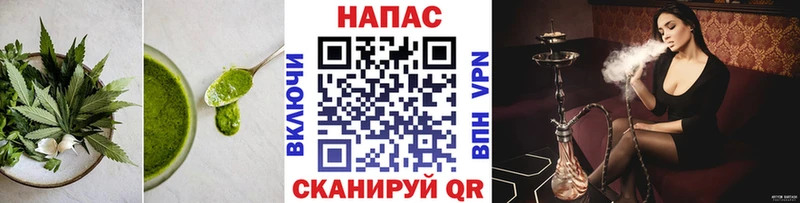 Canna-Cookies конопля  цена наркотик  Светлогорск 